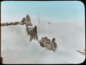 Image of Sledging on Polar Sea
